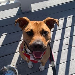 Meet your Posher, Andrew